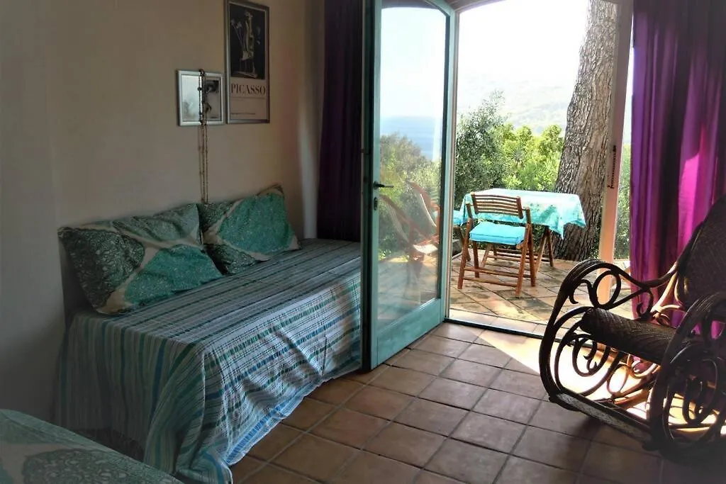 Mini Suite Ulivo Marciana Marina  Guest house Marciana Marina (Isola d'Elba)